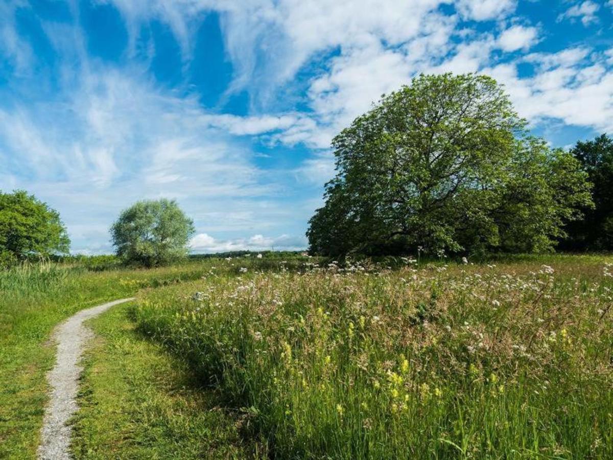 Haus Schussenblick Dg Lägenhet Eriskirch Exteriör bild